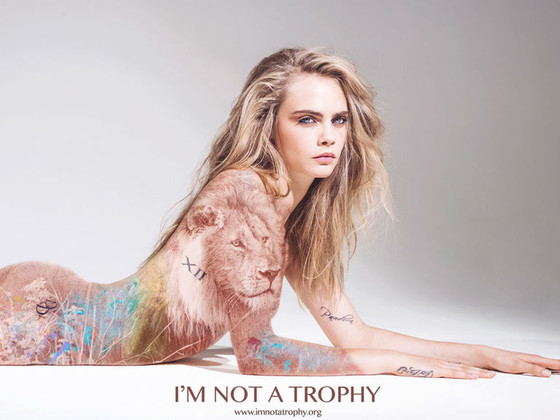 I’m Not a Trophy