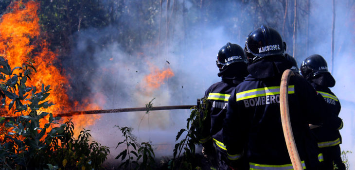 incendio-forestal-bomberos-730x350.jpg