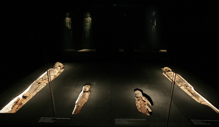 A group of Chinchorro mummies -dated between 5000 B.C. and 3000 B.C.- are on display during the exhibition "Arica, a thousand-year-old culture", on August 27, 2008, in the cultural centre of the La Moneda presidential palace in Santiago. In the Chinchorro culture, everyone who died was mummified, and it was not a symbol of high social status. AFP PHOTO/Claudio Santana /
