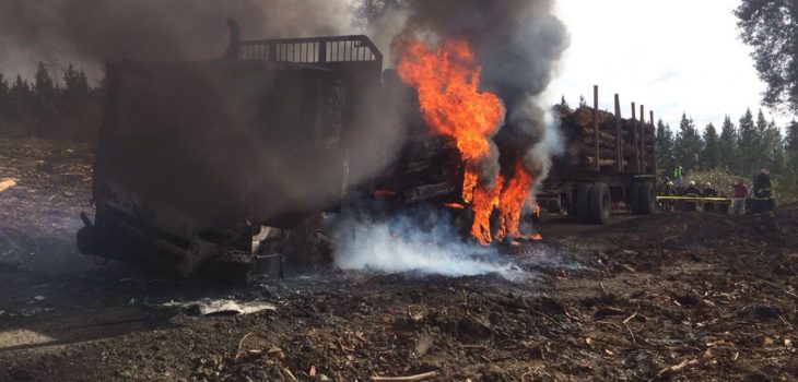 Provincia de Arauco: Ataque incendiario afecta a Fundo El Tránsito ... - BioBioChile