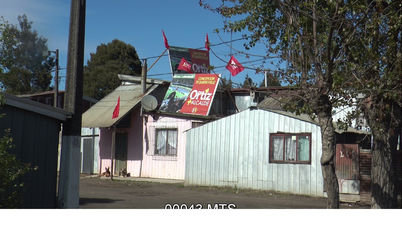 Banderas en sector Aurora de Chile de Concepción