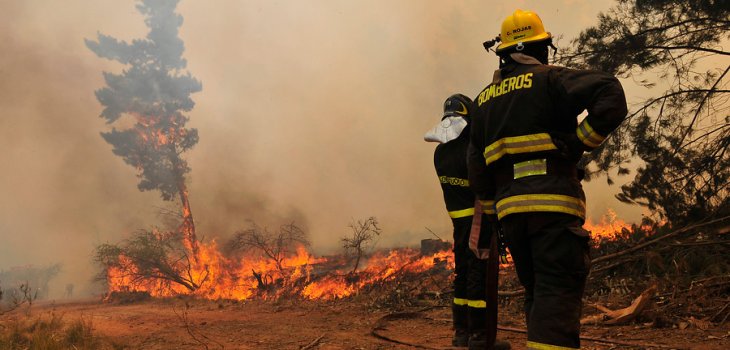 Incendio forestal consumió galpón en Arauco: calor y viento ... - BioBioChile