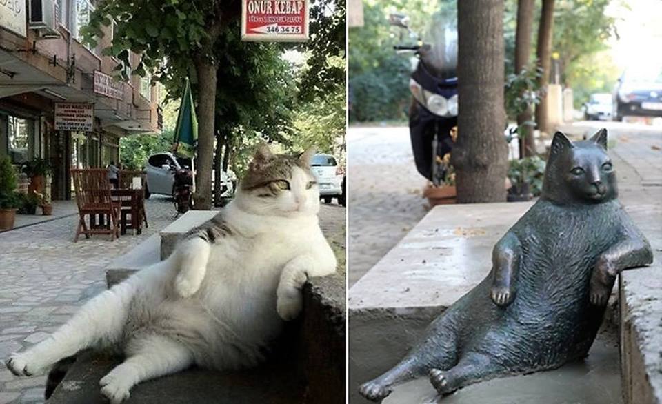 Famoso gato de meme quedó inmortalizado en particular estatua