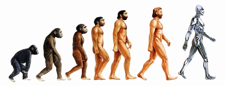 human-evolution