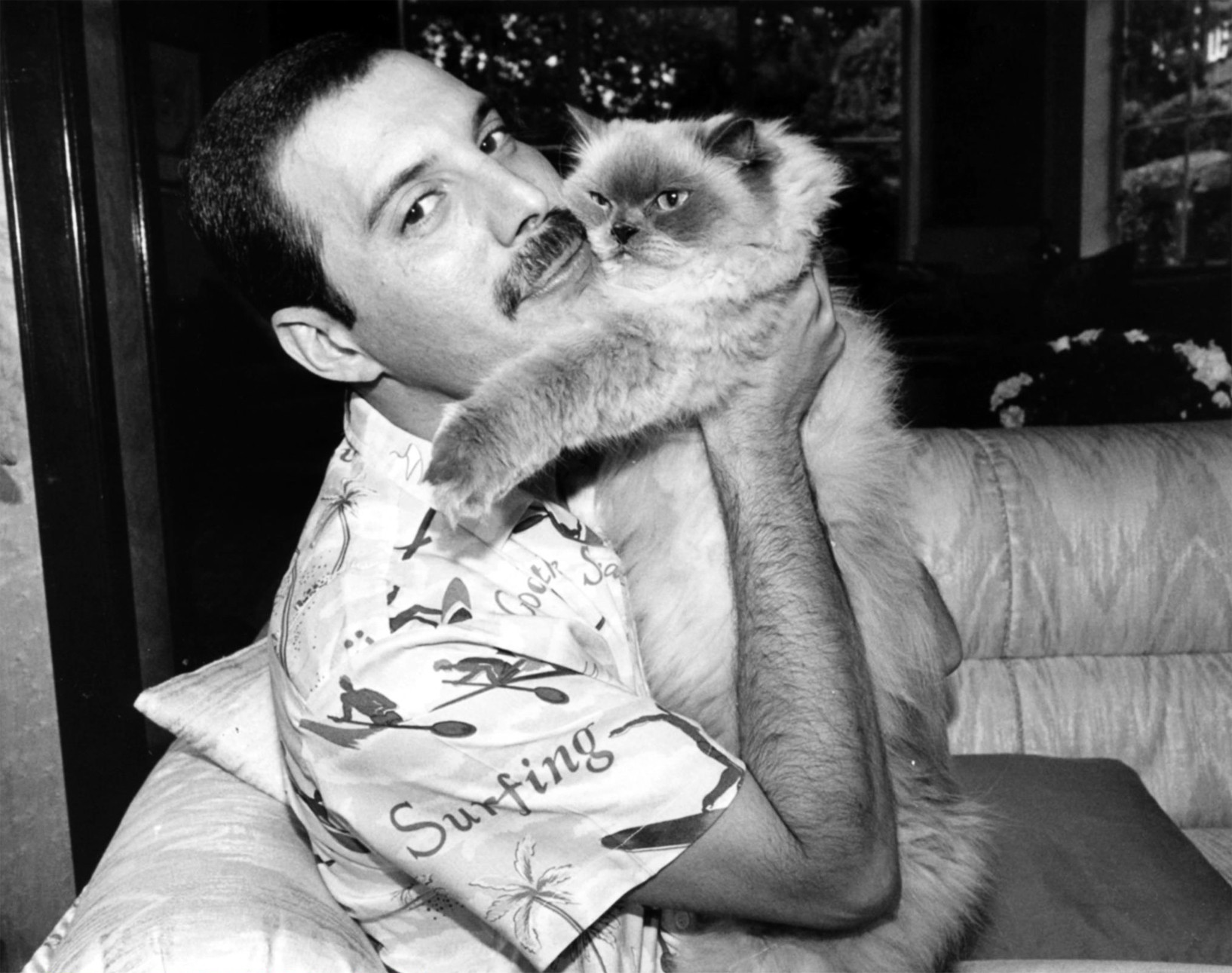 Freddie y uno de sus gatos