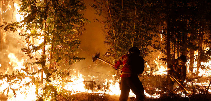 Alcalde Santa Cruz e incendios forestales: hay que dejar de ... - BioBioChile