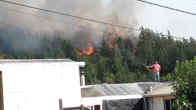 Incendio en Dichato | Twitter @Martin93gb 