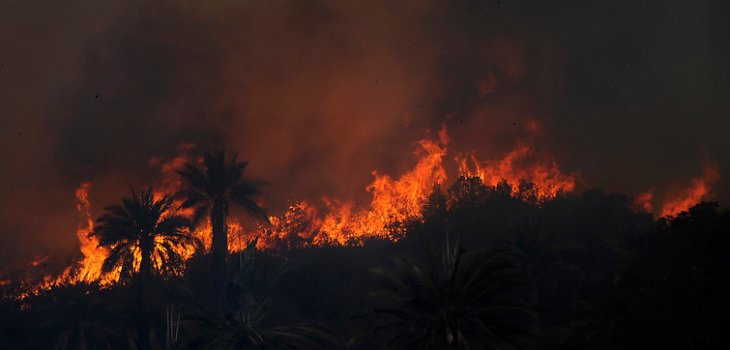 Bomberos trabaja intensamente en incendio en Santa Bárbara tras ... - BioBioChile
