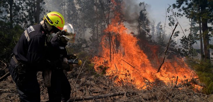 Incendio forestal en la comuna de Collipulli amenaza con ... - BioBioChile