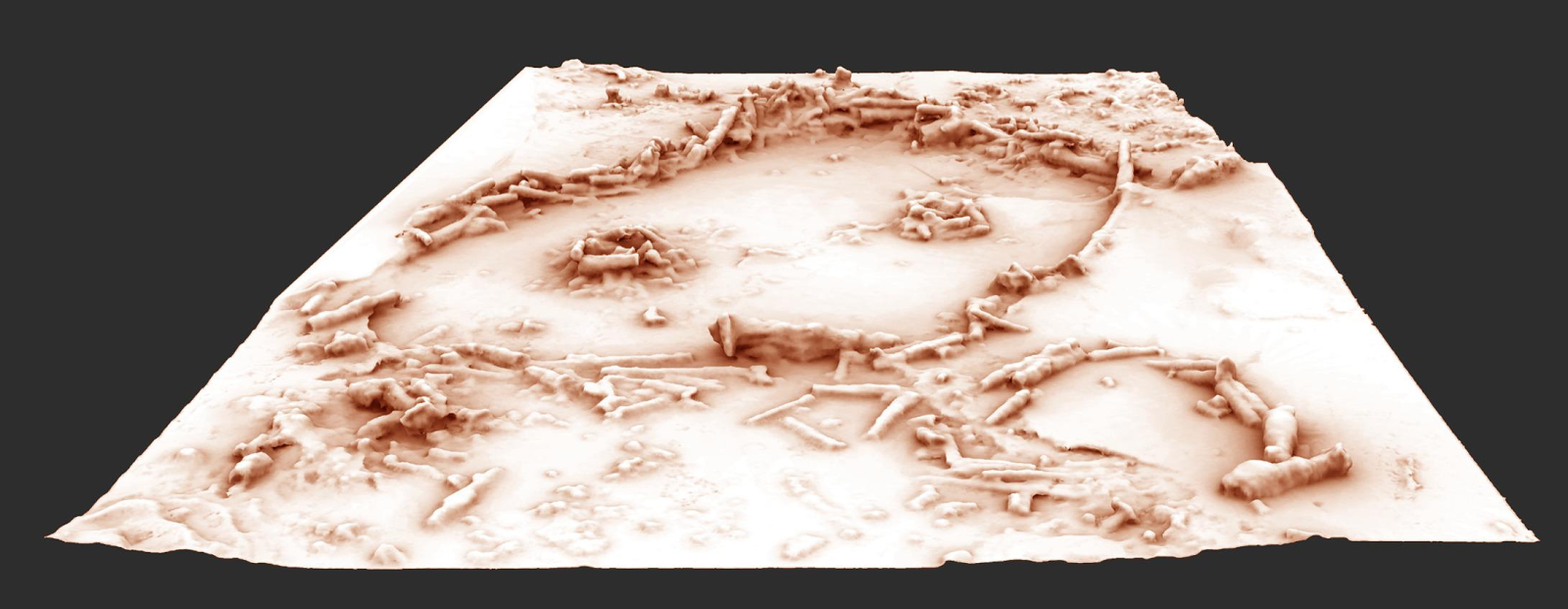 Reconstrucción 3D de la estructura en forma de anillo hecho de estalagmitas por Neandertales tempranos | Imagen de Xavier Muth, realizada in situ