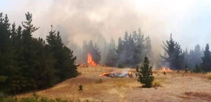 Decretan Alerta Amarilla por incendio forestal en la comuna de Yumbel - BioBioChile