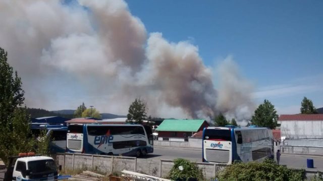 incendio palomares