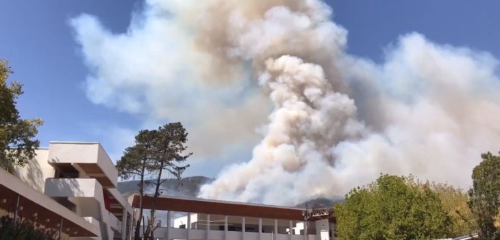 Incendio forestal en Limache y Quillota obliga a decretar Alerta Roja ... - BioBioChile