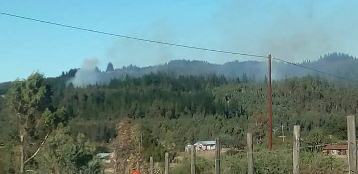 Incendio forestal afecta a sector El Arenal en la comuna de Quillón y ... - BioBioChile