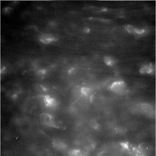 Foto de Cassini que muestra la atmósfera de Saturno | NASA