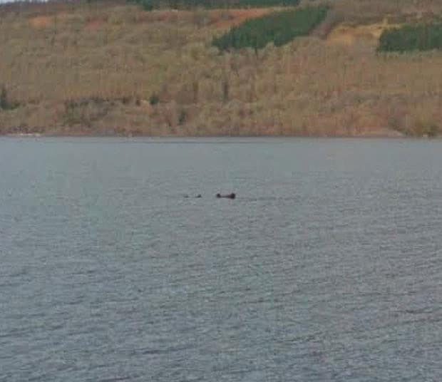 Monstruo del lago Ness supuestamente captado por Google Street View en 2015 