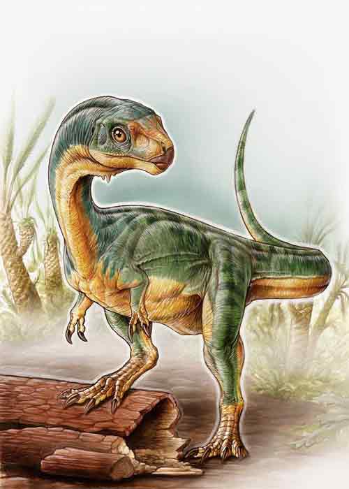 Chilesaurus diegosaurezi