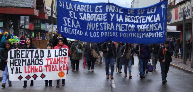 Temuco: Comunidades indígenas marcharon en apoyo a los ... - BioBioChile