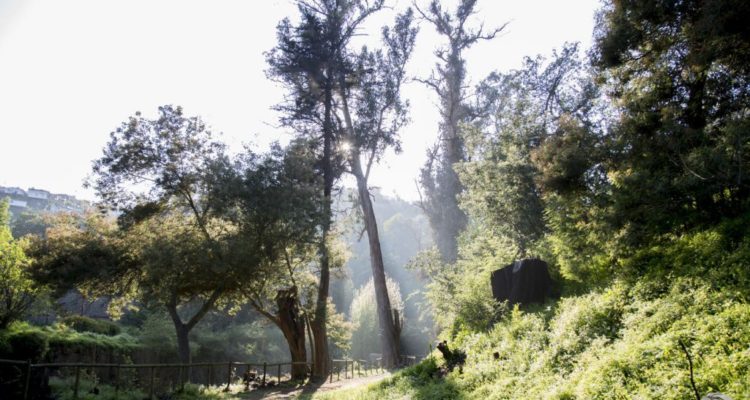 Apertura de Parque Quintil se retrasa: agrupaciones porteñas se niegan a entregar llave del lugar