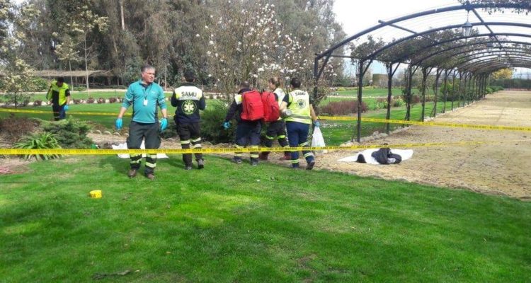 Dos trabajadores mueren electrocutados cuando podaban árboles en Chimbarongo