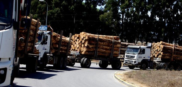 Transportistas forestales evalúan paro por