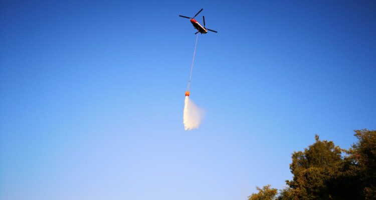 Decretan Alerta Temprana Preventiva por incendio forestal en La Araucanía