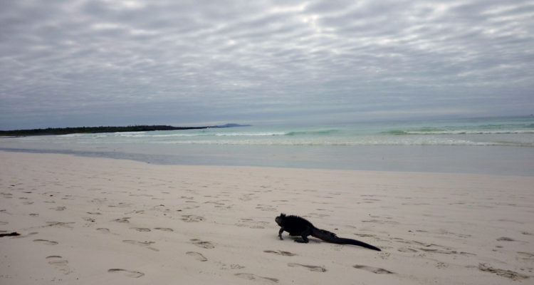Galápagos permitirá acceso a playas en áreas protegidas a pobladores de las islas
