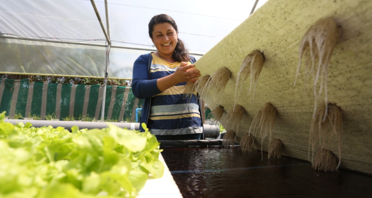 Riego y preservación del agua: Indap dispone incremento de presupuesto y enfoque sustentable