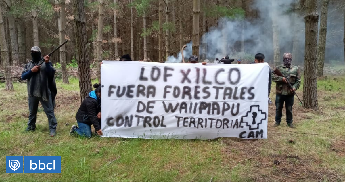 Lof Mapuche Anuncia Inicio De Recuperaci N Territorial En Araucan A