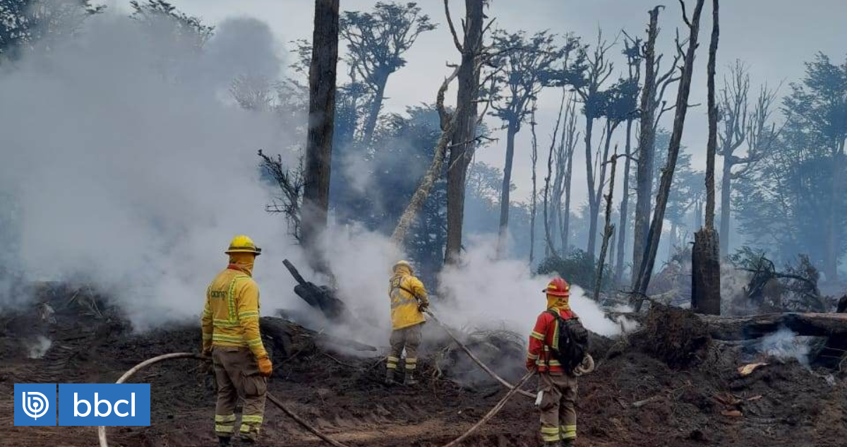 Cerca de un mes tardará en extinguirse el incendio forestal que afecta