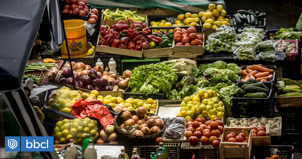 Gobierno Detalla Verduras Y Hortalizas Que Podr An Experimentar Alzas