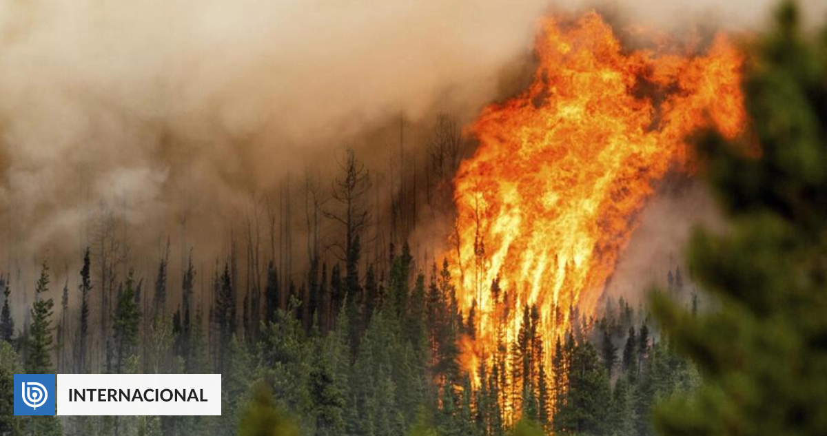 M S De Mil Incendios Forestales Canad Evac A A Miles De Personas