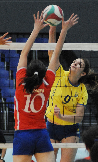 Liga Chilena de Vóleibol 2010