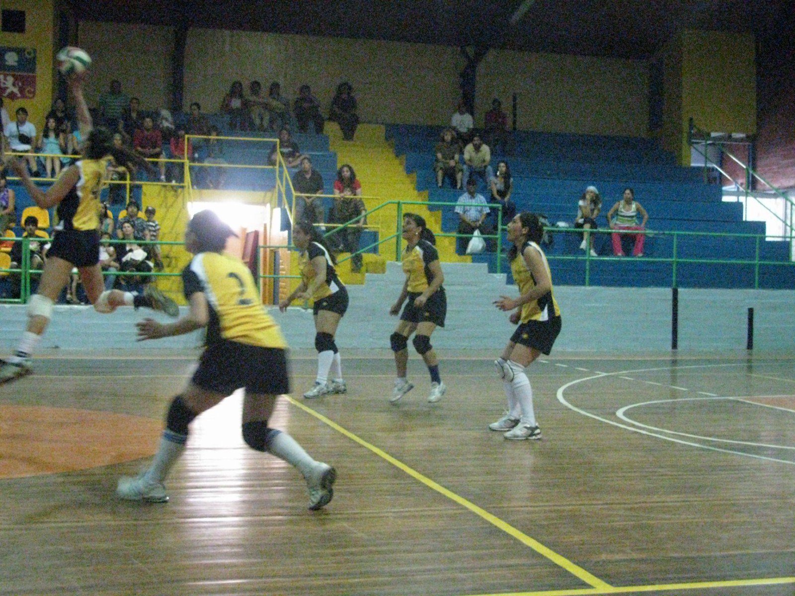 Torneo Nacional de Voleibol Damas