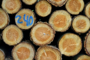 Ruub O en Stock.xchng