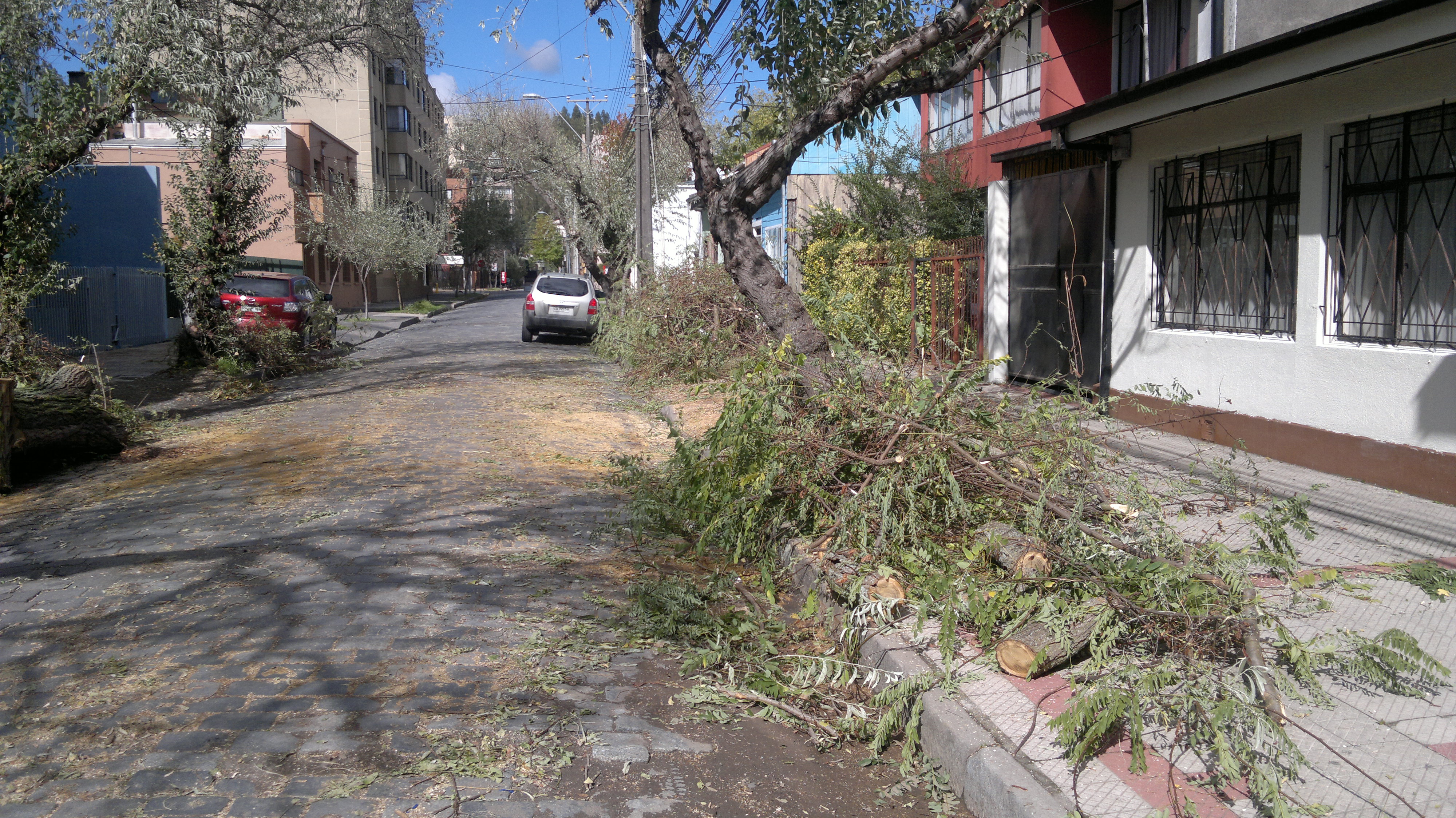 de nuestro auditor Álvaro