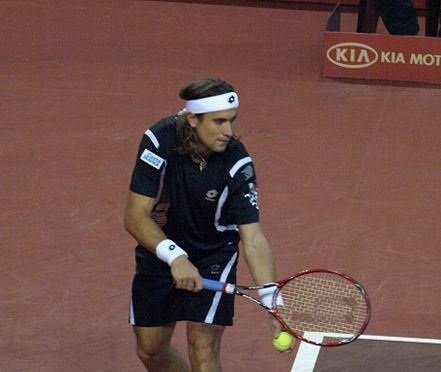 David Ferrer | Elemaki