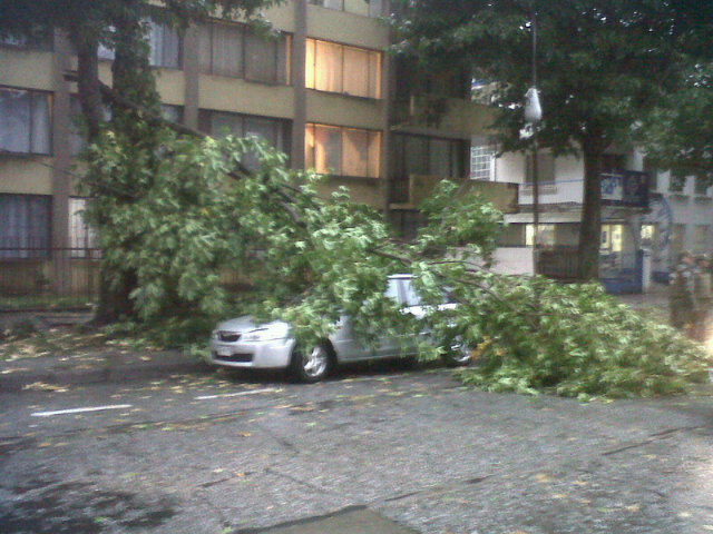 Camilo Riffo