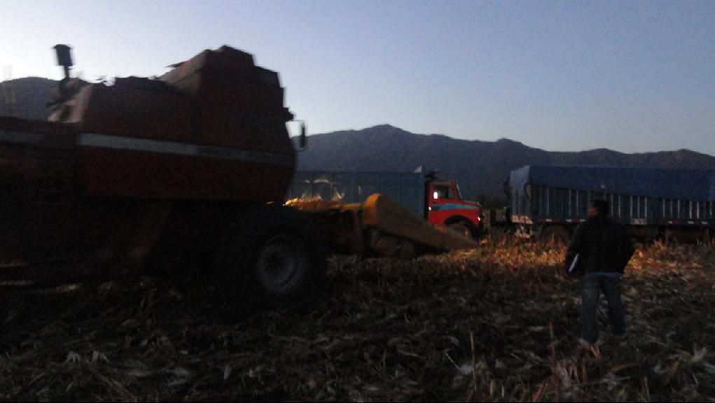 Comunicado de Prensa