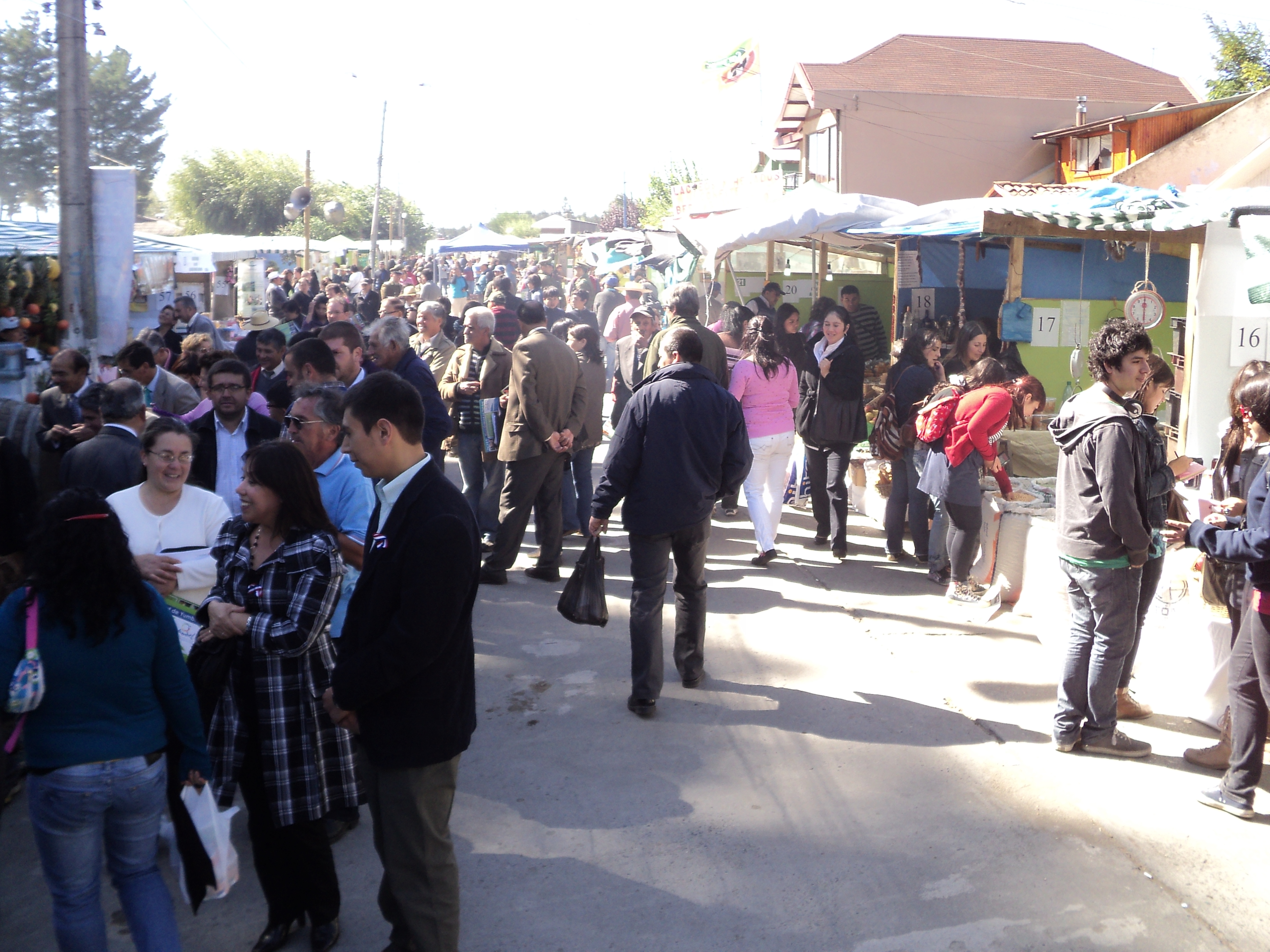 Muestra Campesina de Yumbel
