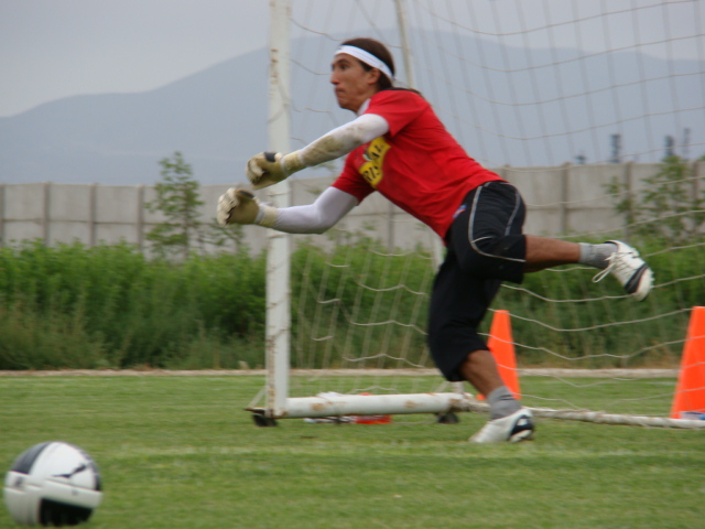 Archivo | FOTO: Felipe Espina