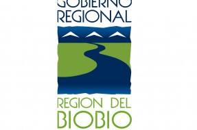 Logo Gobierno Regional