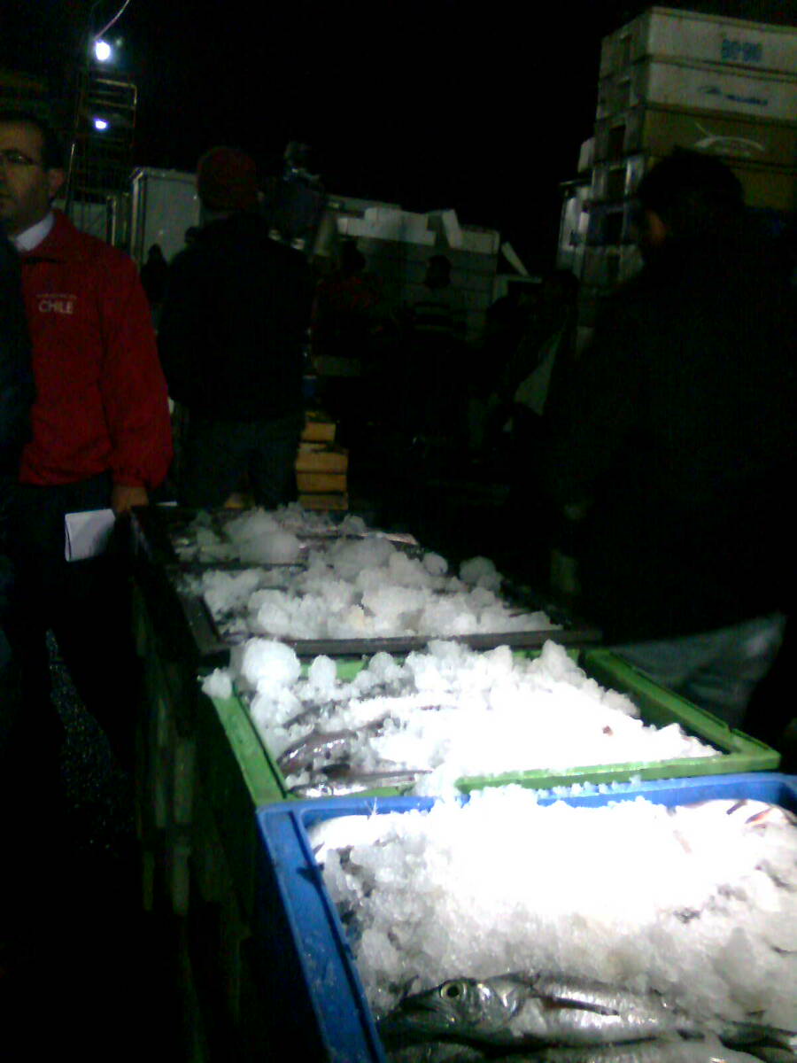 Fiscalización – Pedro Cid