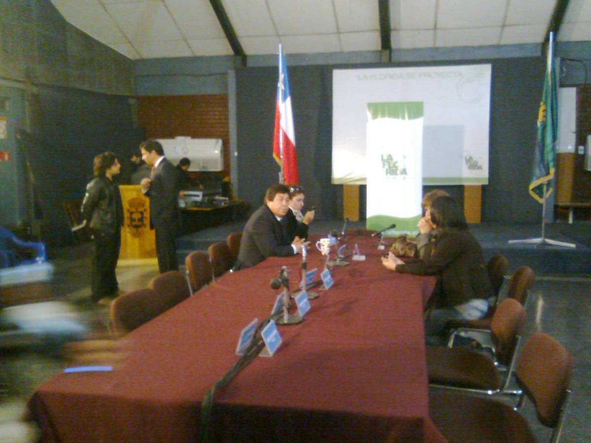 Concejo Municipal | Rodrigo Pino