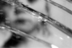 Foto contexto | Kat Jackson en Stock.xchng