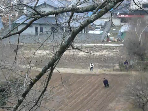 Avance del tsunami en Japón