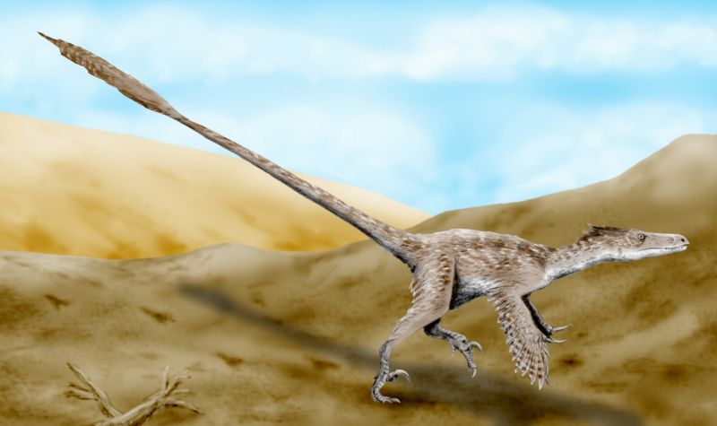 Recreación de un Velociraptor | Wikipedia