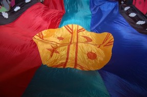 Bandera mapuche | Chillanactivo.cl