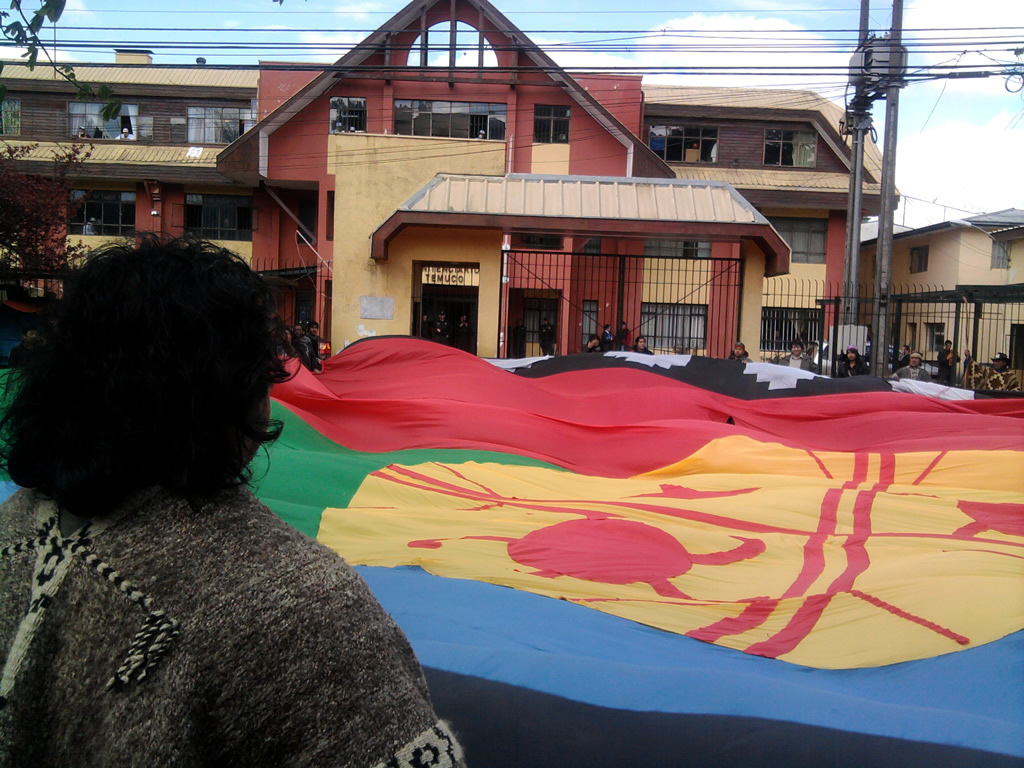 Bandera Mapuche | Carlos Martínez
