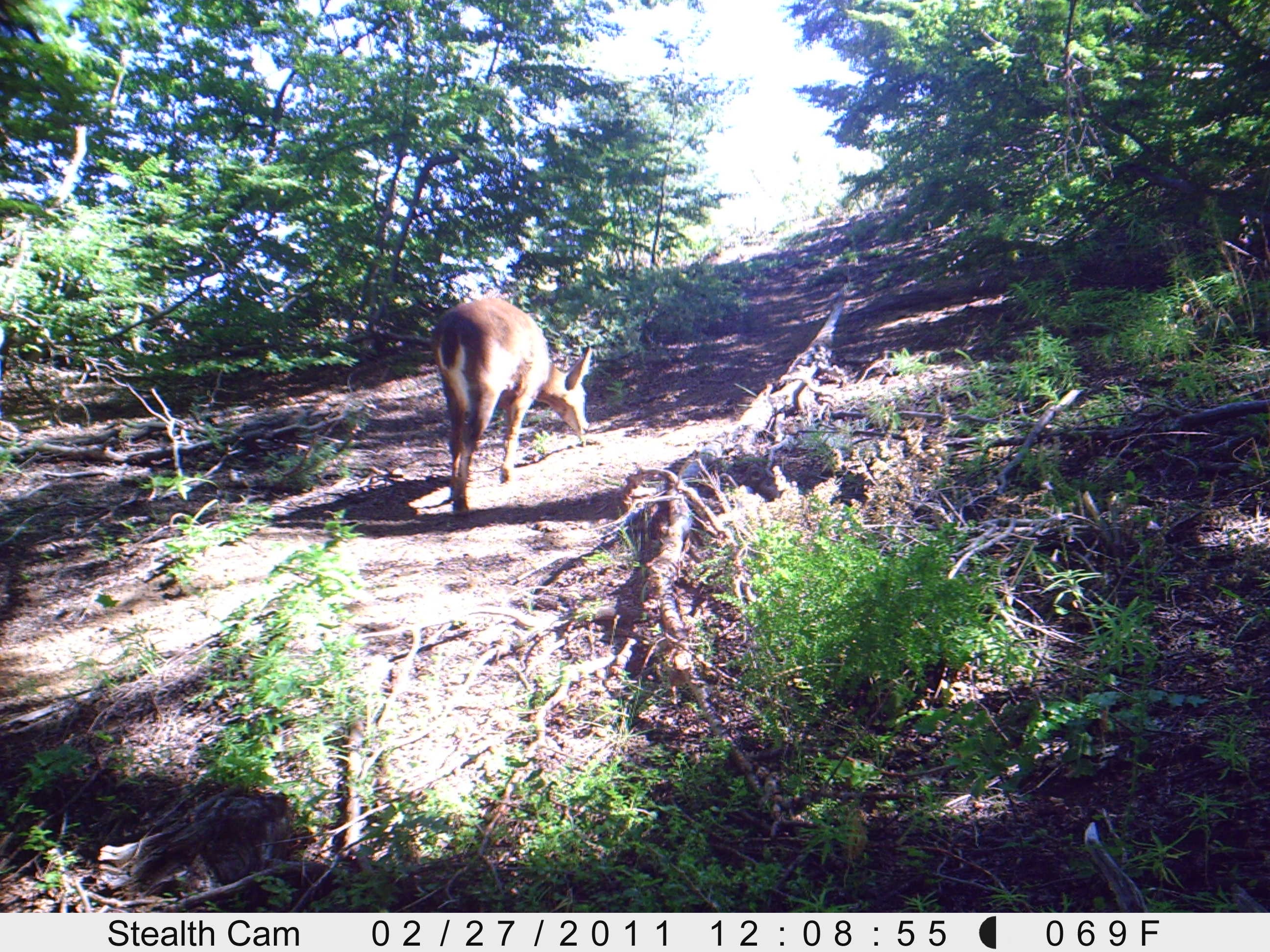 Tribuna del Bío-Bío